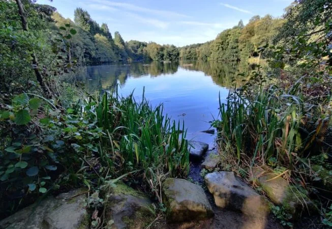 View of Coppice Pond from the East Side