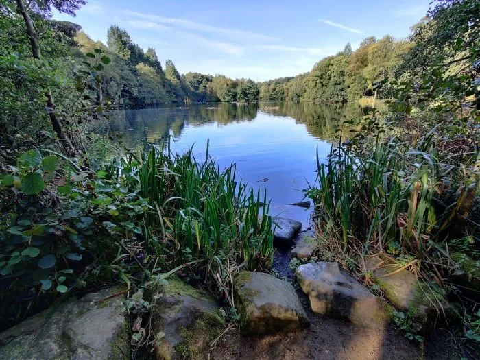 Coppice Pond East Side