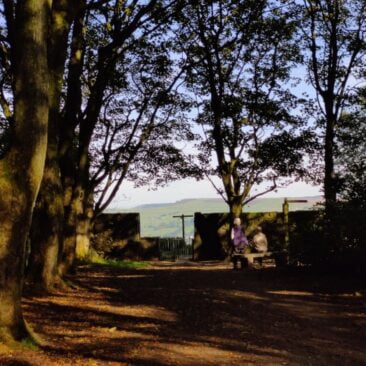 Couple Watching Scenery Altar Lane St Ives