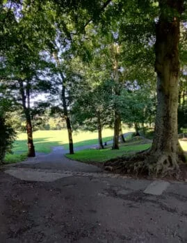 Paths in Myrtle Park, Bingley