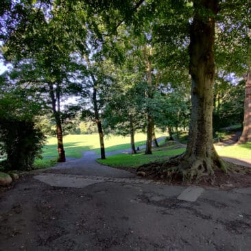 Paths in Myrtle Park, Bingley