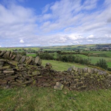 Harden Valley View