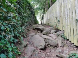 Rough Path in Cottingley