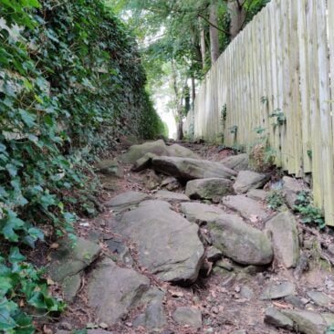 Rough Path in Cottingley