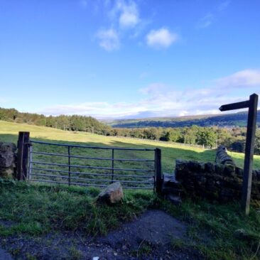 View from Altar Lane