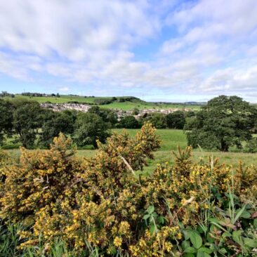 View of Nab Lane