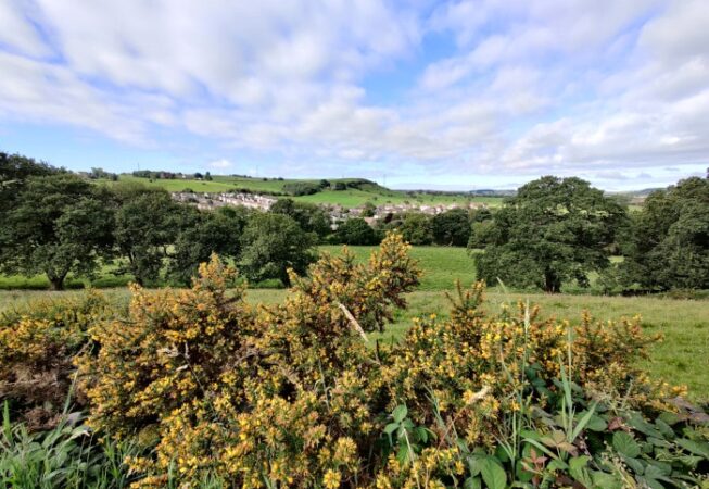 View of Nab Lane , a hillock near Wilsden