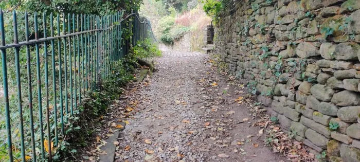 Riverside Walk improved path - picture 1