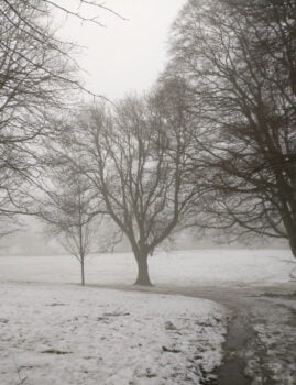 Snowed Myrtle Park in Bingley