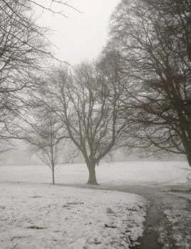 Snowed Myrtle Park in Bingley