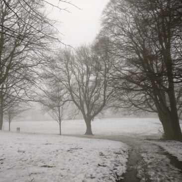 Snowed Myrtle Park in Bingley