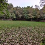 The Arena at Prince of Wales Park Bingley