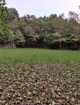 The Arena at Prince of Wales Park Bingley