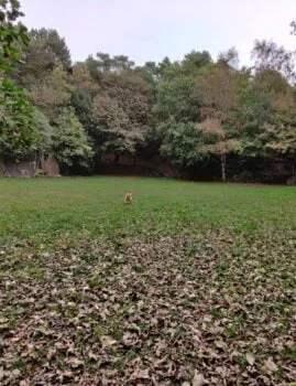 The Arena at Prince of Wales Park Bingley