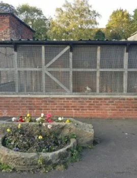 Aviaries in Myrtle Park Bingley