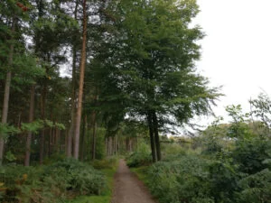 Cottingley Wood Estate