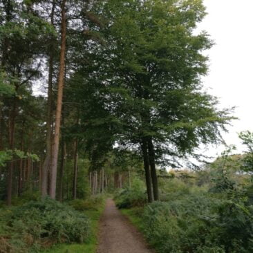 Cottingley Wood Estate