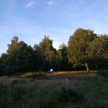 Meadow in Price of Wales Park in Bingley