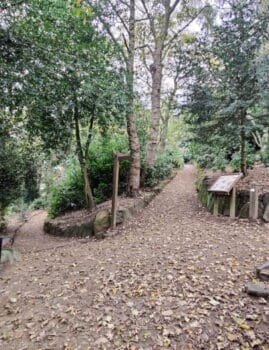 Paths in the middle of Prince of Wales Park