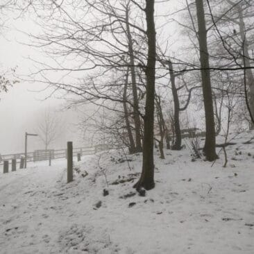 Near main entrance at St Ives Bingley in winter