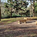Picnic Area in Prince of Wales Park