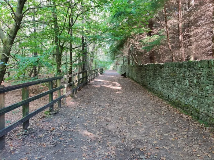Path in Lady Blantyre's Wood