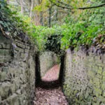 Bankfield Path near Cottingley