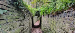 Bankfield Path near Cottingley