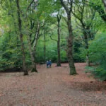 Walkers in Hirst Wood
