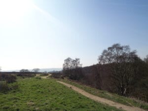 North of Shipley Glen