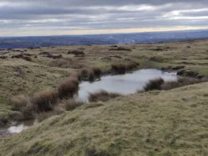 Pond at the top of Baildon Moor