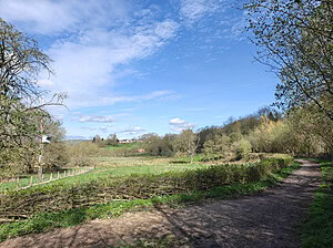 Bingley North Bog: a community effort bearing fruit