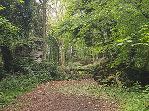 Milner Field House ruins - The Gate Entrance