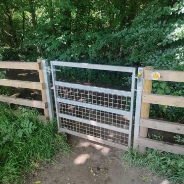Three Path Improvements on the Welcome Way Bingley Loop